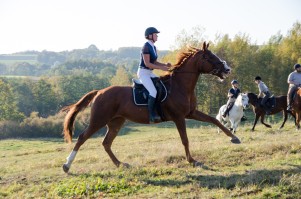 zawody-trec-pttk-leki-dolne-2019.jpg