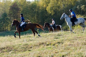 zawody-trec-pttk-leki-dolne-2019.jpg