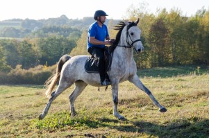 zawody-trec-pttk-leki-dolne-2019.jpg