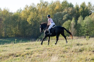 zawody-trec-pttk-leki-dolne-2019.jpg