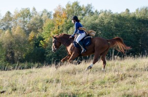 zawody-trec-pttk-leki-dolne-2019.jpg
