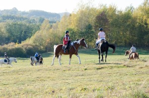 zawody-trec-pttk-leki-dolne-2019.jpg