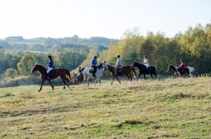 zawody-trec-pttk-leki-dolne-2019.jpg