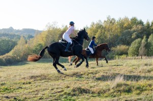 zawody-trec-pttk-leki-dolne-2019.jpg