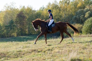 zawody-trec-pttk-leki-dolne-2019.jpg