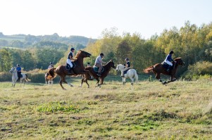 zawody-trec-pttk-leki-dolne-2019.jpg
