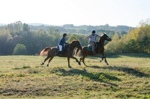 zawody-trec-pttk-leki-dolne-2019.jpg