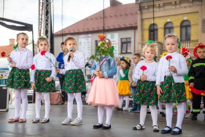 i-pilznienski-festiwal-zawodow.jpg
