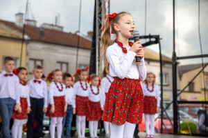 i-pilznienski-festiwal-zawodow.jpg