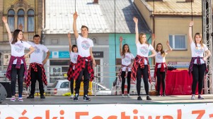 i-pilznienski-festiwal-zawodow.jpg