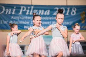 dni-pilzna-2018-niedziela-cz-1.jpg