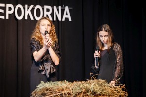 narodowe-swieto-niepodleglosci-2018-cz-2.jpg
