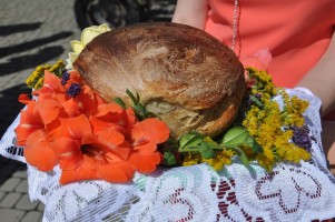 dozynki-w-lekach-dolnych-2016.jpg