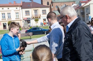 zagroda-wielkanocna-na-rynku-w-pilznie.jpg