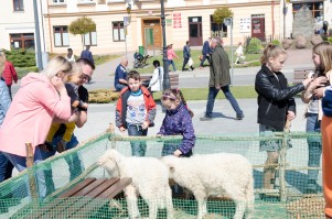 zagroda-wielkanocna-na-rynku-w-pilznie.jpg