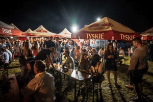 dozynki-gminne-w-lekach-dolnych-cz-5.jpg