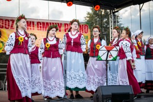 dozynki-gminne-w-lipinach-wystepy-i-koncerty.jpg