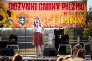 dozynki-gminne-w-lipinach-wystepy-i-koncerty.jpg