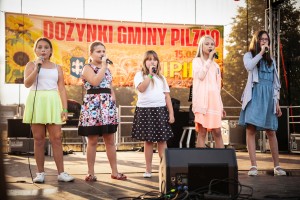 dozynki-gminne-w-lipinach-wystepy-i-koncerty.jpg