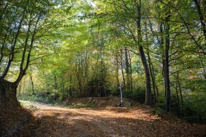 rozaniec-droga-sw-jakuba.jpg