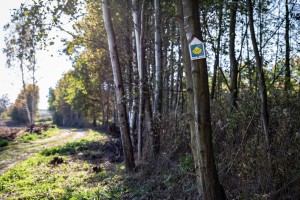 rozaniec-droga-sw-jakuba.jpg