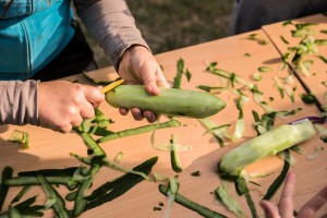 piknik-w-lekach-dolnych.jpg