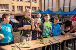 piknik-w-lekach-dolnych.jpg