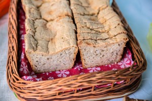 piknik-w-lekach-dolnych.jpg