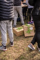 piknik-w-lekach-dolnych.jpg