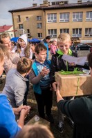 piknik-w-lekach-dolnych.jpg