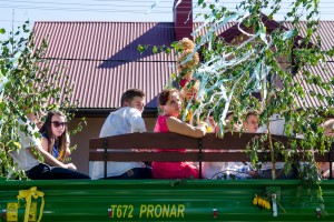 dozynki-gminy-pilzno-2016-cz-1.jpg