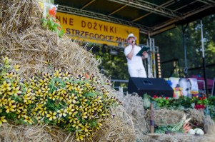 dozynki-gminy-pilzno-2016-cz-1.jpg