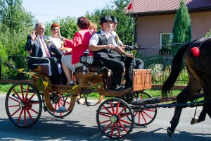 dozynki-gminy-pilzno-2016-cz-1.jpg