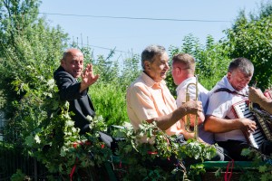 dozynki-gminy-pilzno-2016-cz-1.jpg
