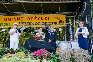 dozynki-gminy-pilzno-2016-cz-2.jpg
