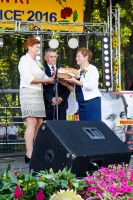 dozynki-gminy-pilzno-2016-cz-2.jpg