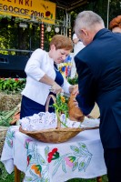 dozynki-gminy-pilzno-2016-cz-2.jpg