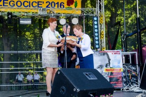 dozynki-gminy-pilzno-2016-cz-2.jpg