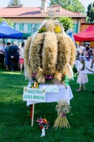 dozynki-gminy-pilzno-2016-cz-2.jpg