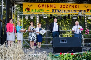 dozynki-gminy-pilzno-2016-cz-3.jpg