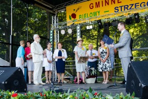 dozynki-gminy-pilzno-2016-cz-3.jpg