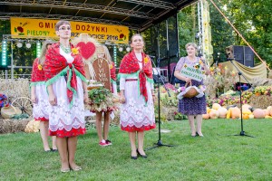 dozynki-gminy-pilzno-2016-cz-3.jpg