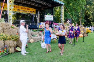 dozynki-gminy-pilzno-2016-cz-3.jpg