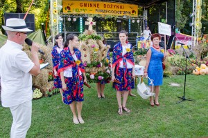 dozynki-gminy-pilzno-2016-cz-3.jpg