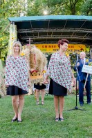 dozynki-gminy-pilzno-2016-cz-3.jpg