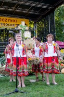 dozynki-gminy-pilzno-2016-cz-3.jpg