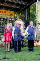 dozynki-gminy-pilzno-2016-cz-3.jpg