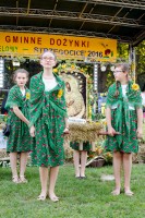 dozynki-gminy-pilzno-2016-cz-3.jpg