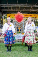 dozynki-gminy-pilzno-2016-cz-3.jpg