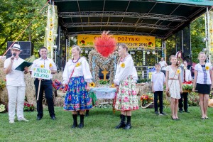 dozynki-gminy-pilzno-2016-cz-3.jpg